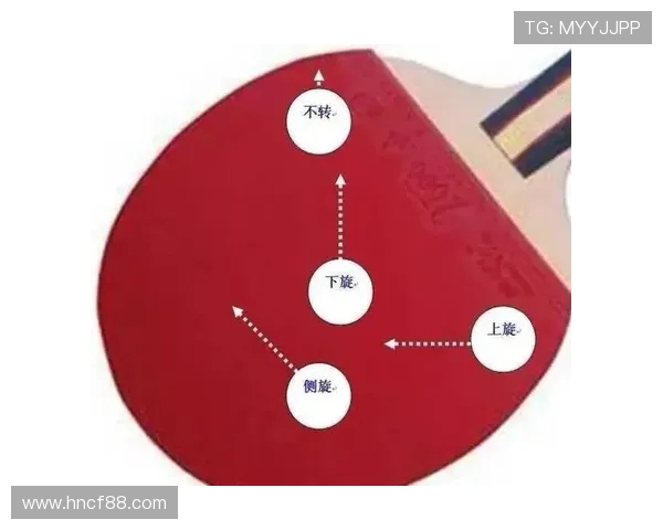 广州乒乓球队的节奏揭秘：深度解析乒乓球的魅力与技巧